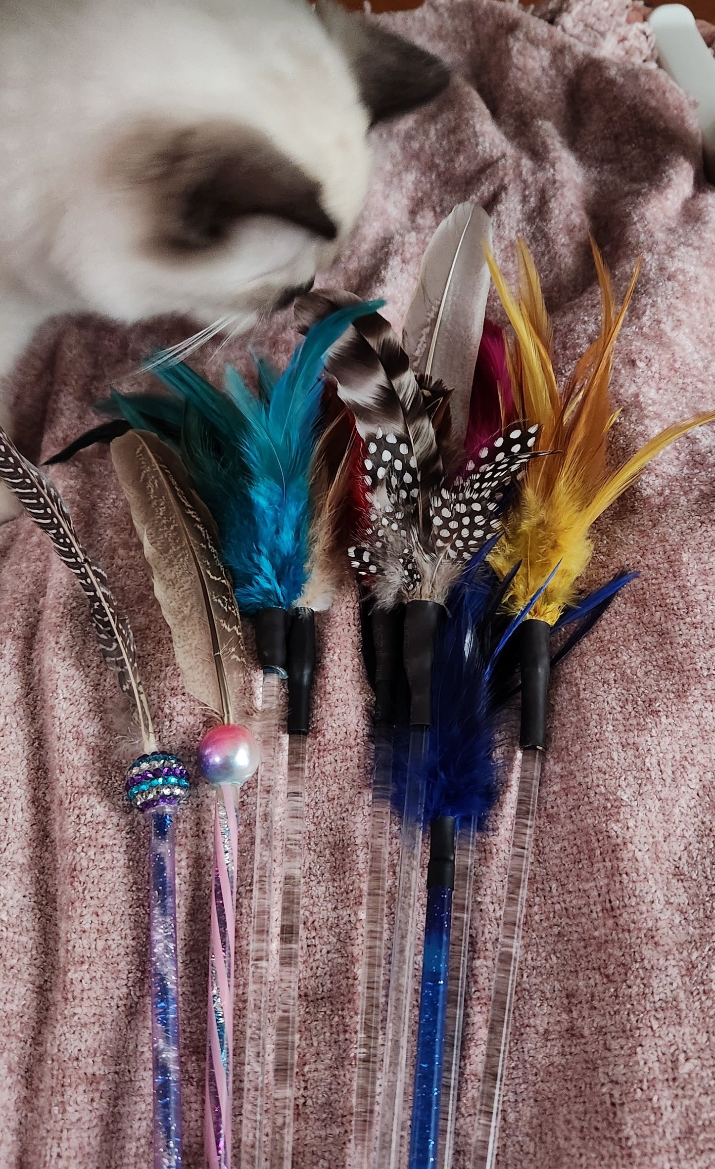 Multi Feather Long Stem Cat Teaser